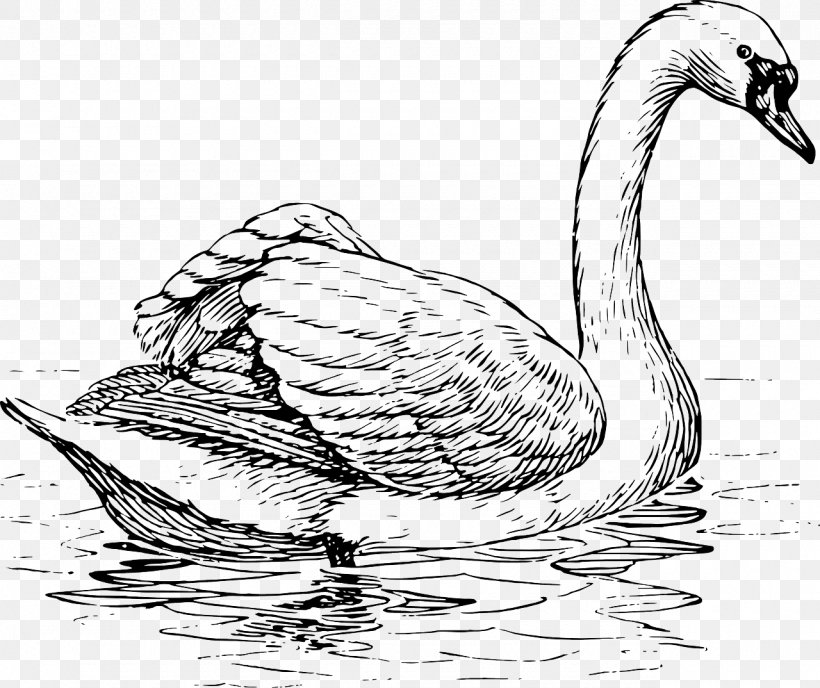 Black Swan Trumpeter Swan Whooper Swan Bird Drawing, PNG, 1280x1074px, Black Swan, Art, Beak, Bird, Black And White Download Free