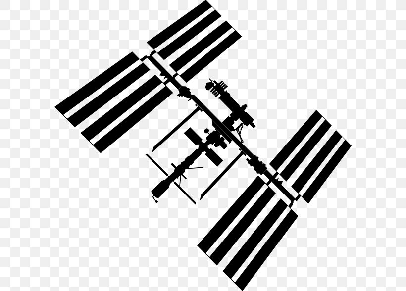International Space Station STS-118 Clip Art, PNG, 600x588px, International Space Station, Astronaut, Black And White, Docking And Berthing Of Spacecraft, Musical Instrument Accessory Download Free