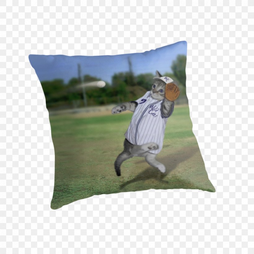 Kitten Golf Balls Catcher Baseball Pillow, PNG, 875x875px, Kitten, Bag, Baseball, Catcher, Cushion Download Free
