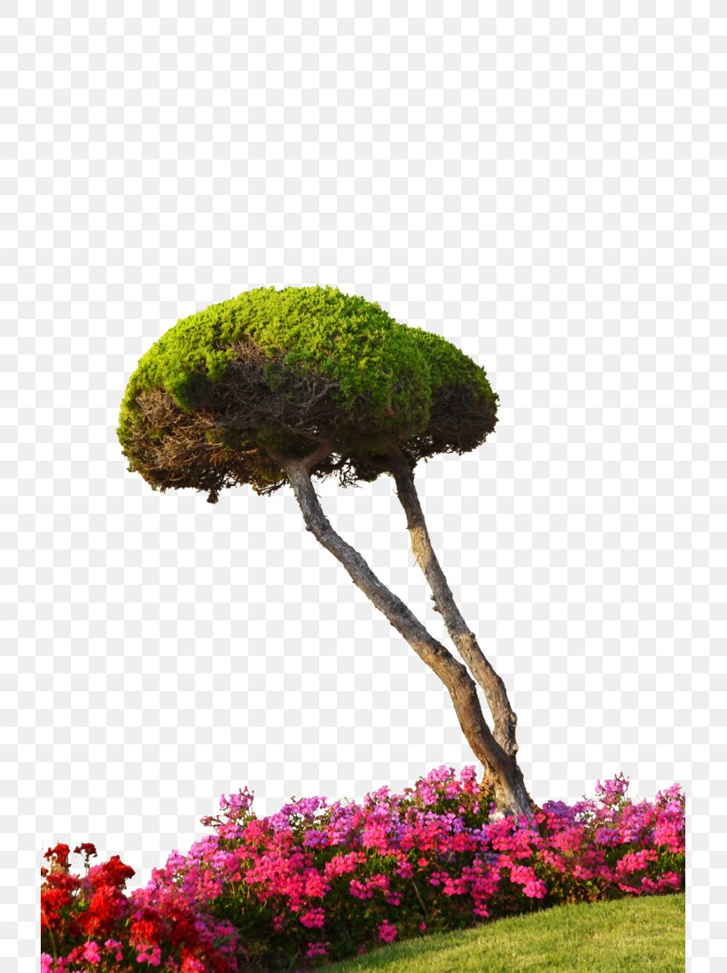 Plant Flower Tree Architectural Rendering, PNG, 727x1098px, Plant, Architectural Rendering, Flora, Flower, Flowerpot Download Free