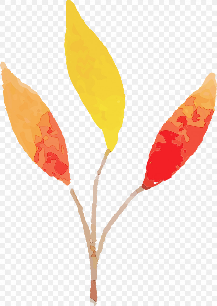 Plant Stem Leaf Petal Plants Biology, PNG, 2123x3000px, Autumn Leaf, Biology, Colorful Leaf, Leaf, Paint Download Free