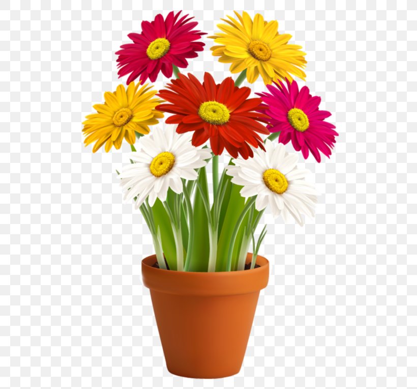 Clip Art Vector Graphics Transvaal Daisy Flower Illustration, PNG, 540x764px, Transvaal Daisy, Annual Plant, Artificial Flower, Chrysanths, Cut Flowers Download Free