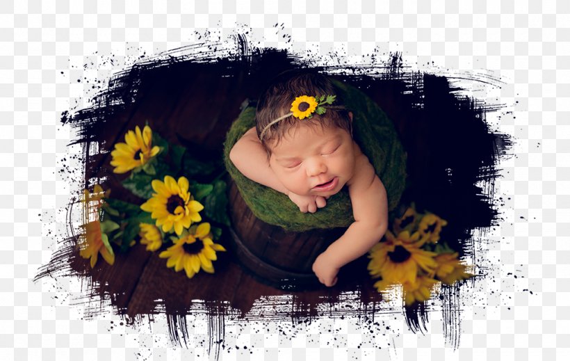 Desktop Wallpaper Toddler Picture Frames, PNG, 1000x634px, Watercolor, Cartoon, Flower, Frame, Heart Download Free
