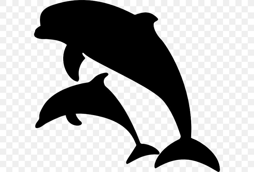 Clip Art Common Bottlenose Dolphin Image Illustration, PNG, 600x556px, Dolphin, Blackandwhite, Bottlenose Dolphin, Cetacea, Common Bottlenose Dolphin Download Free
