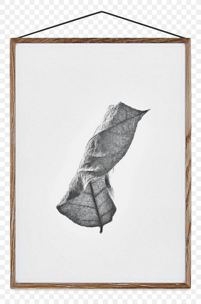 Leaf Drawing, PNG, 900x1361px, Paper Collective, Conch, Drawing, Leaf, Moebe Download Free