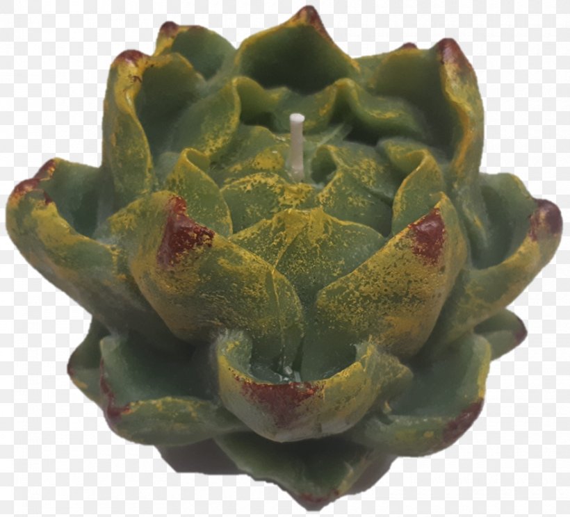 Artichoke Cynara Vegetable Plant Flowerpot, PNG, 880x799px, Artichoke, Cynara, Flowerpot, Plant, Vegetable Download Free