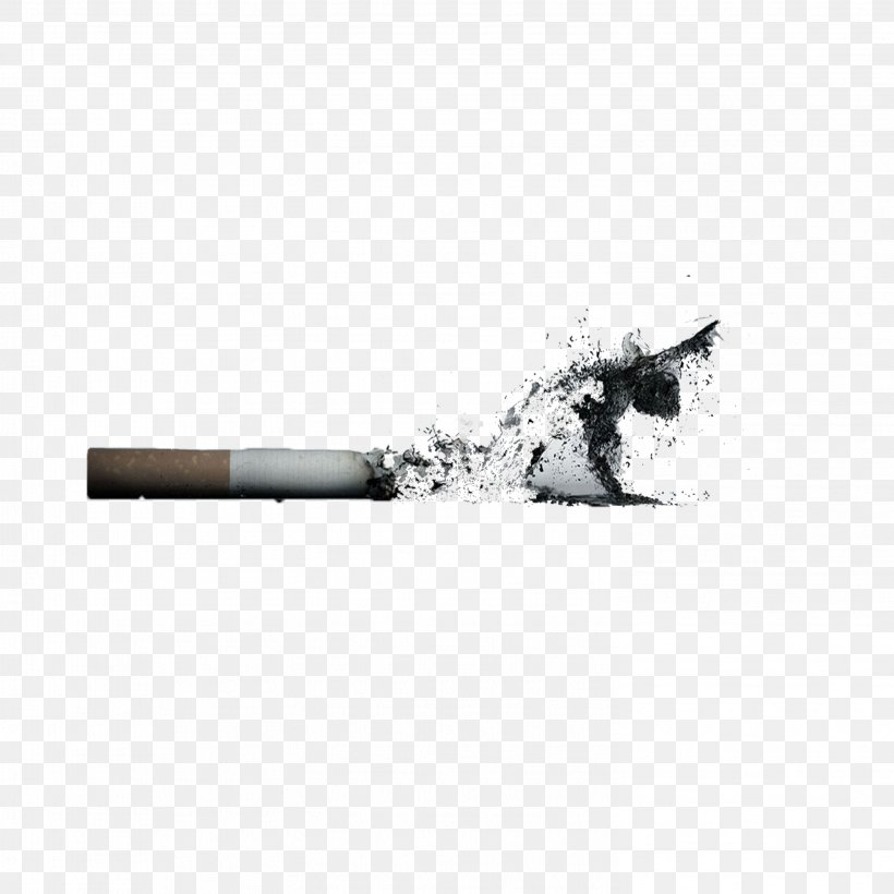 Download Cigarette Ashtray Death Designer, PNG, 2953x2953px, Cigarette, Ashtray, Black, Black And White ...