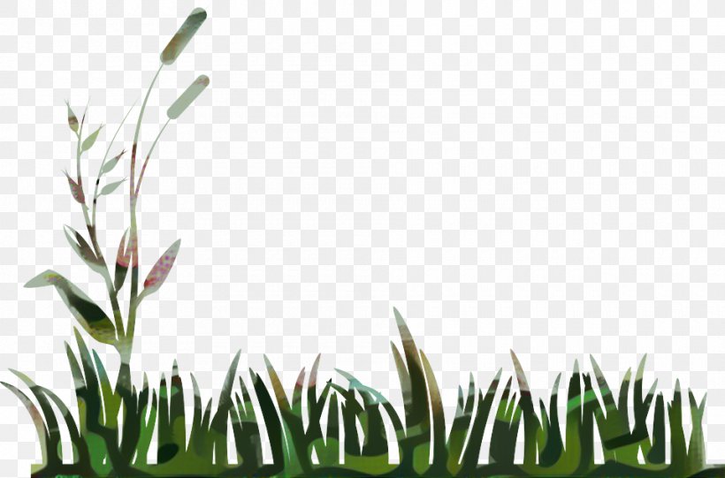 Clip Art Openclipart Vector Graphics Illustration, PNG, 960x634px, Lawn, Borders And Frames, Botany, Drawing, Elymus Repens Download Free