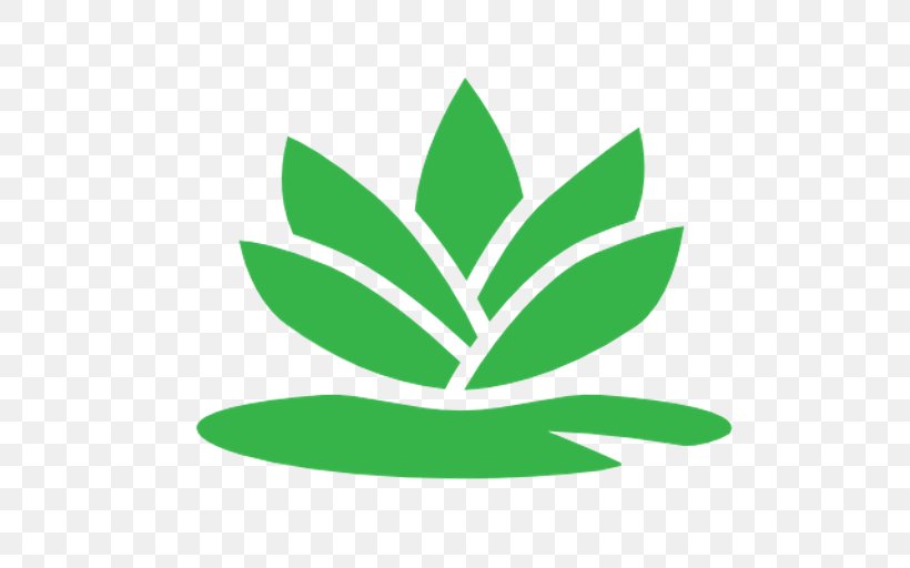 Leaf Plant Stem Tree Clip Art, PNG, 512x512px, Leaf, Grass, Green, Plant, Plant Stem Download Free