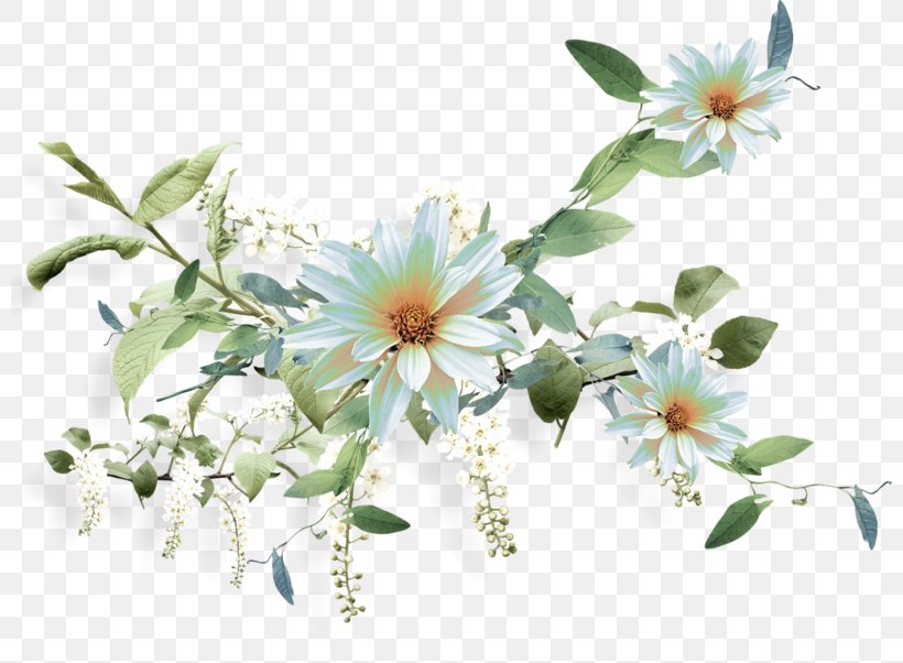 Render Clip Art, PNG, 800x602px, Render, Blossom, Branch, Flora, Floral Design Download Free