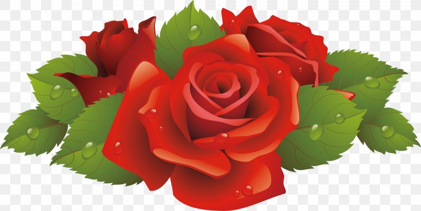 Rose Flower Clip Art, PNG, 3019x1518px, Rose, Black Rose, Cut Flowers, Floral Design, Floribunda Download Free