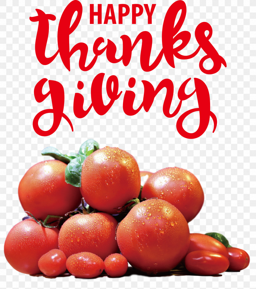 Thanksgiving Autumn, PNG, 2660x3000px, Thanksgiving, Autumn, Barbados Cherry, Bush Tomato, Cranberry Download Free