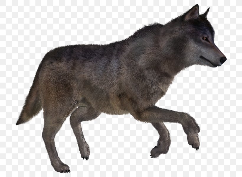 Alaskan Tundra Wolf Kunming Wolfdog Coyote Red Wolf, PNG, 762x600px, Alaskan Tundra Wolf, Animal, Canis, Canis Lupus Tundrarum, Carnivoran Download Free