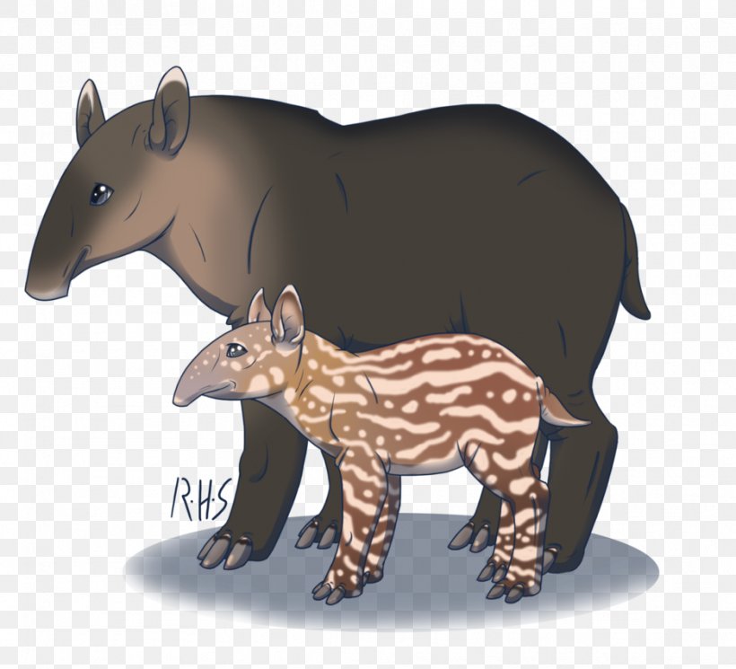 Bear Tapir Snout Terrestrial Animal, PNG, 937x852px, Bear, Animal, Animal Figure, Carnivoran, Fauna Download Free