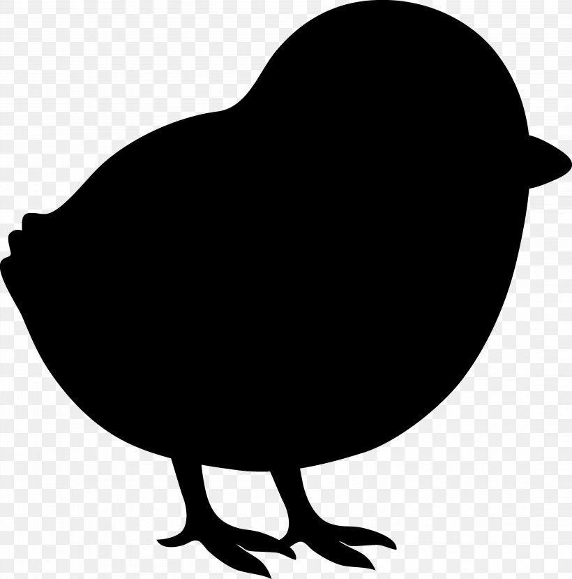 Clip Art Fauna Silhouette Beak Chicken As Food, PNG, 4379x4429px, Fauna, Beak, Bird, Blackandwhite, Chicken As Food Download Free
