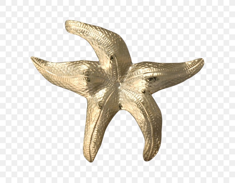 Starfish Bail Charms & Pendants Clothing Pin, PNG, 640x640px, Starfish, Bail, Charms Pendants, Clothing, Courtney Design Download Free