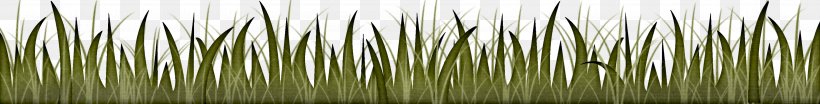 Green, PNG, 3605x460px, Green, Grass, Grass Family, Plant Stem, Symmetry Download Free