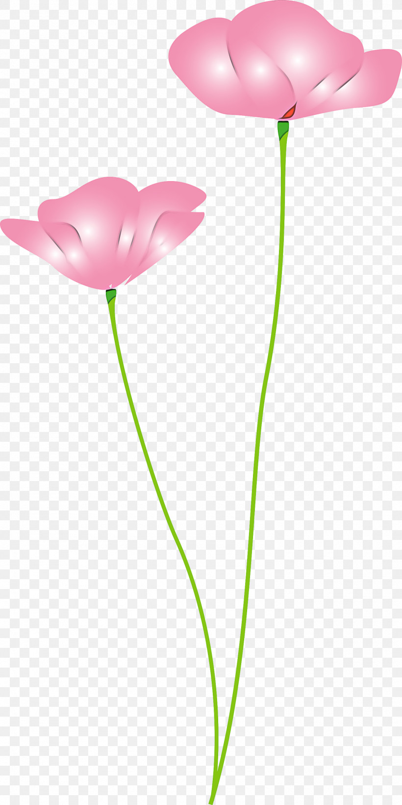 Poppy Flower, PNG, 1500x3000px, Poppy Flower, Anthurium, Artificial Flower, Cut Flowers, Flower Download Free