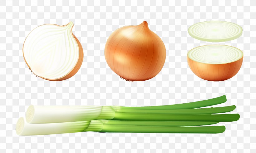 Onion Diet Food, PNG, 2378x1430px, Onion, Diet, Diet Food, Food, Ingredient Download Free
