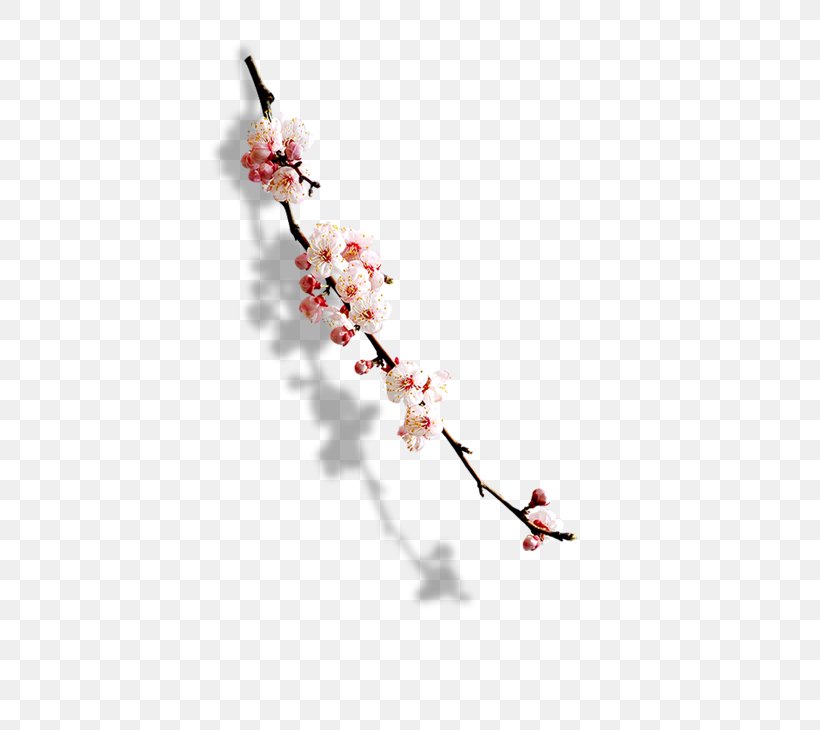 Plum Blossom Paper, PNG, 520x730px, Plum Blossom, Art, Blossom, Branch, Cherry Blossom Download Free