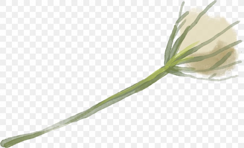 Therapy Arvigo Institute LLC Flower Healing Plant Stem, PNG, 1061x644px, Therapy, Abdomen, Facebook, Flower, Grass Download Free