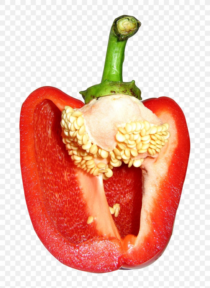 Bell Pepper Seed Chili Pepper Vegetable Avocado, PNG, 1279x1759px, Bell Pepper, Auglis, Avocado, Bell Peppers And Chili Peppers, Bonsai Download Free