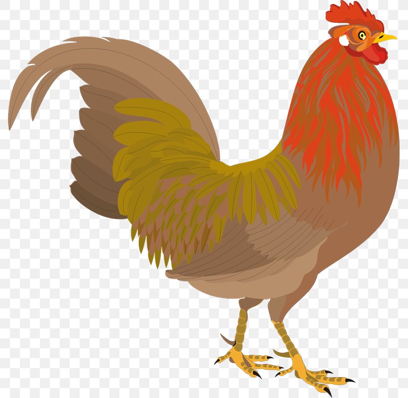 Chicken Clip Art Rooster Drawing Logo, PNG, 787x800px, Chicken, Avian Influenza, Beak, Bird, Cartoon Download Free
