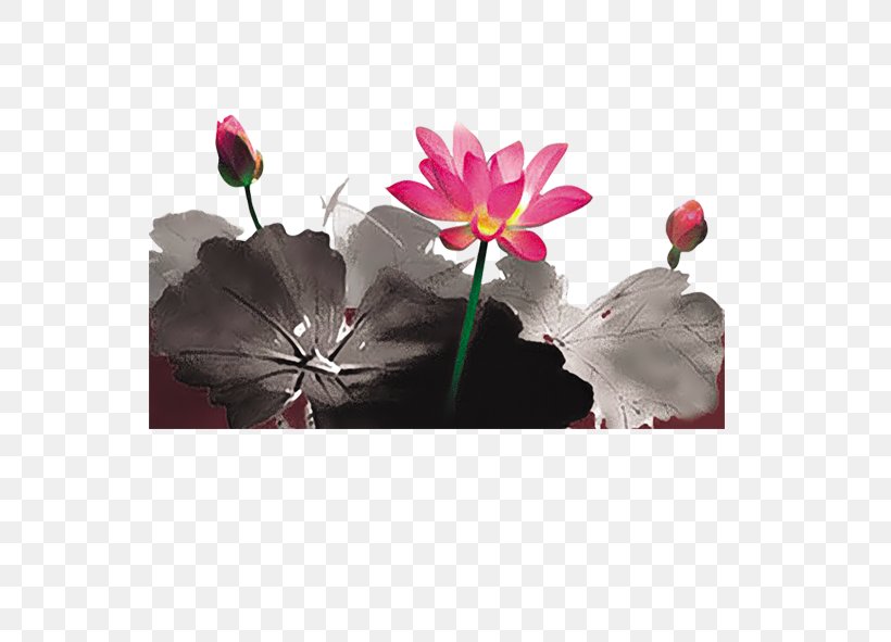 Ink Wash Painting Photography, PNG, 591x591px, Ink Wash Painting, Feeling From Mountain And Water, Flora, Flower, Flowering Plant Download Free
