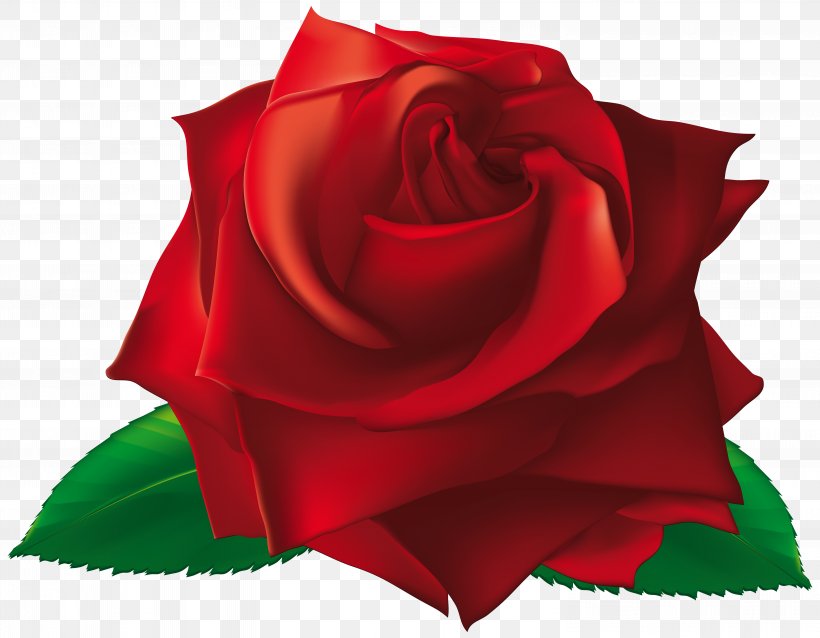 Rose Flower Royalty-free Clip Art, PNG, 5942x4628px, Rose, Blue, Flower, Flowering Plant, Garden Roses Download Free