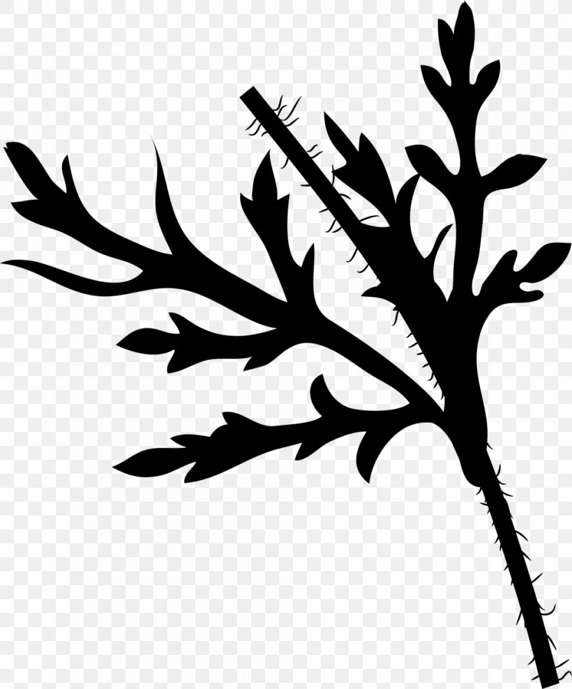 Twig Plant Stem Leaf Flower Clip Art, PNG, 994x1200px, Twig, Blackandwhite, Botany, Branch, Flower Download Free