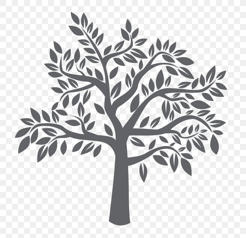 Vector Graphics Image Tree Silhouette Photograph, PNG, 802x794px, Tree, Black And White, Branch, Drawing, Flower Download Free