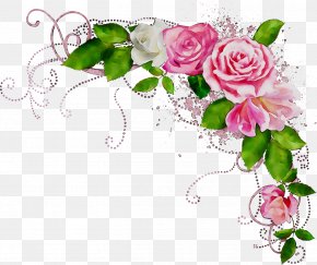 Borders And Frames Rose Clip Art Flower, PNG, 800x733px, Borders And ...