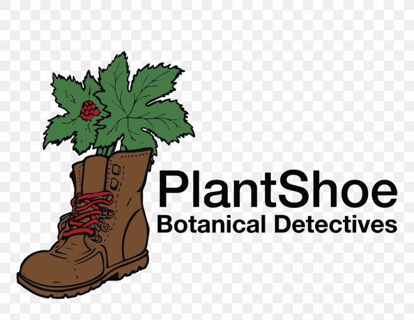Detective Plant Botany Leaf Clip Art, PNG, 1000x773px, Detective, Botany, Color, Flowerpot, Food Download Free