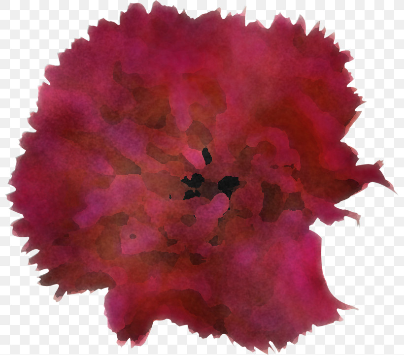 Pink Red Flower Magenta Cut Flowers, PNG, 800x721px, Pink, Carnation, Cut Flowers, Dianthus, Flower Download Free