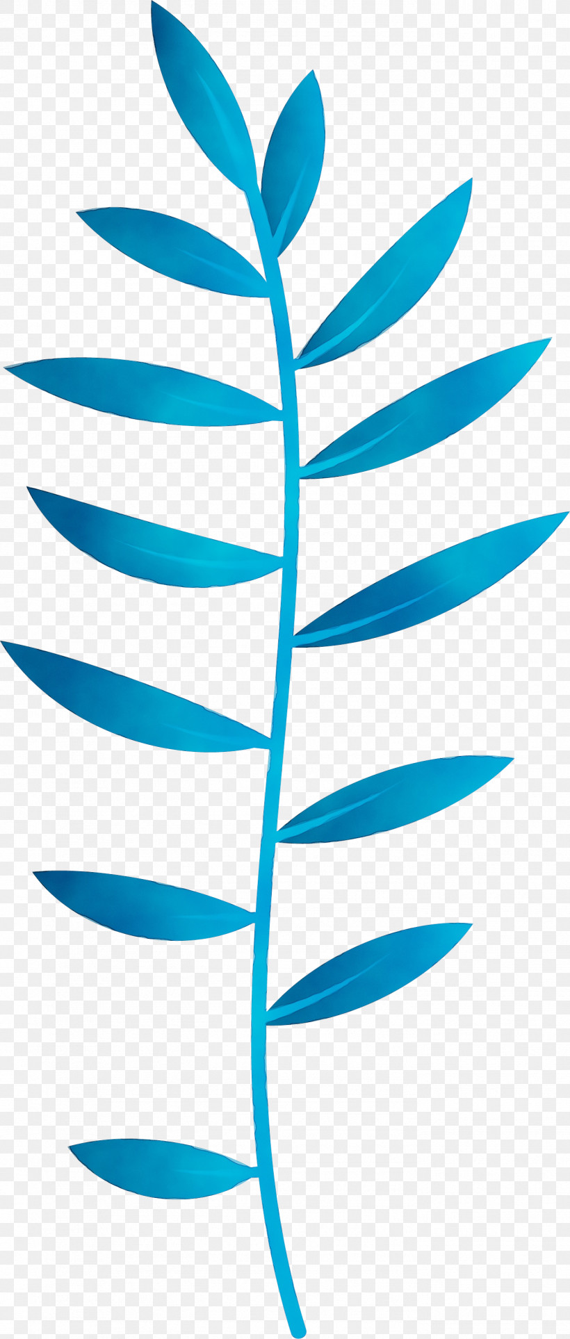 Plant Stem Leaf Angle Line Teal, PNG, 1393x3275px, Leaf, Angle, Area, Biology, Line Download Free