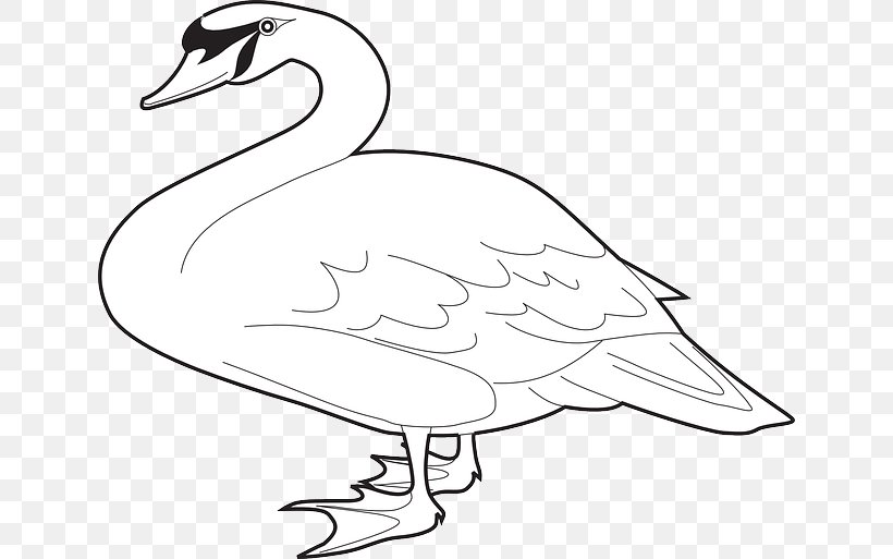 Domestic Goose Magpie Goose Clip Art, PNG, 640x513px, Goose, Artwork, Beak, Bird, Black And White Download Free