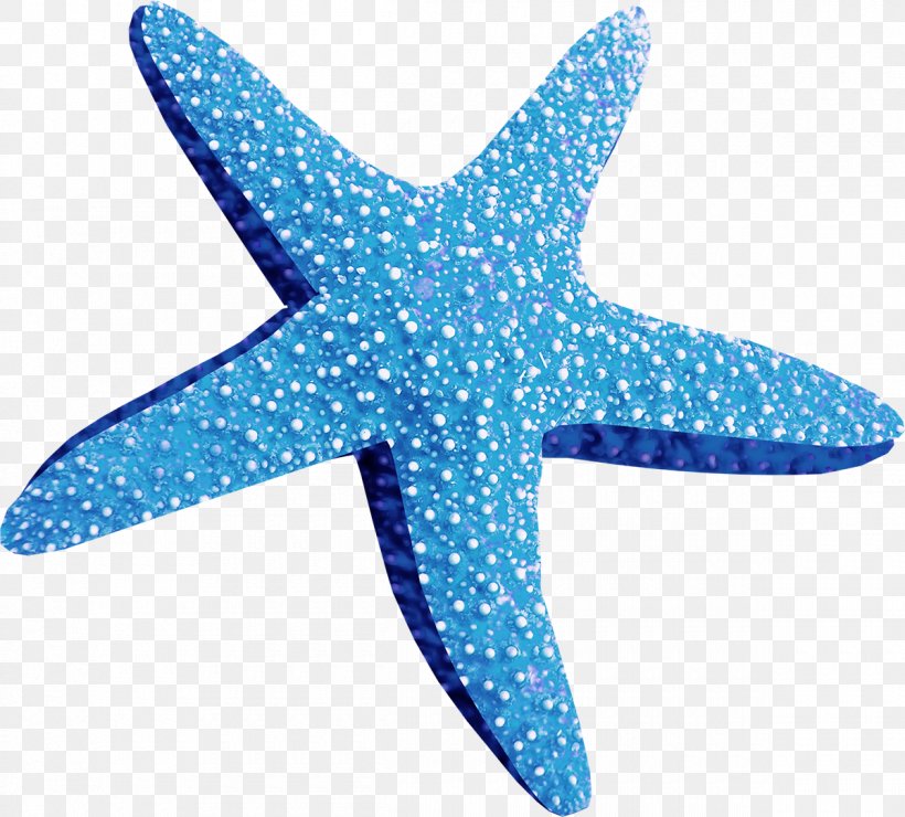 Marine Animals Starfish Clip Art, PNG, 1200x1083px, Marine Animals, Android, Aqua, Blue, Color Download Free