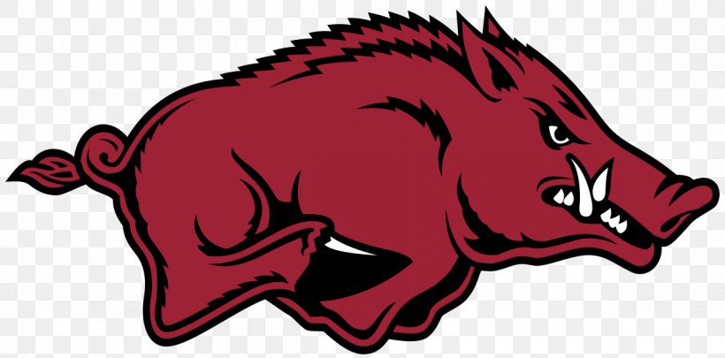 Arkansas Razorbacks Football Arkansas Razorbacks Women's Basketball University Of Arkansas Southeastern Conference NCAA Division I Football Bowl Subdivision, PNG, 1200x594px, Arkansas Razorbacks Football, American Football, Arkansas Razorbacks, Athletic Director, Cardinal Download Free