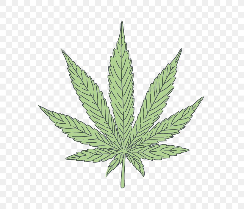 Cannabis Leaf Background, PNG, 700x700px, Cannabis, Cannabis Sativa, Cannabis Smoking, Flower, Great Masterwort Download Free