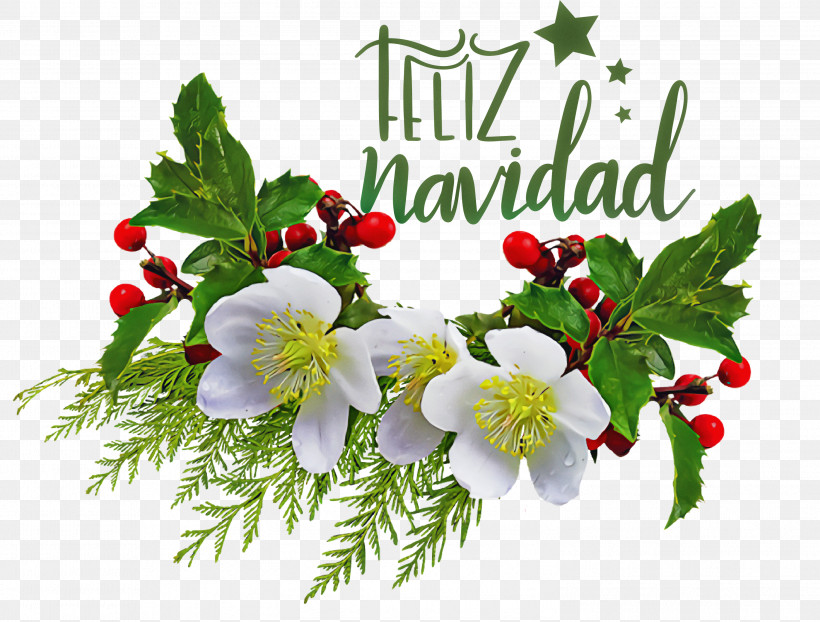 Feliz Navidad Merry Christmas, PNG, 2999x2278px, Feliz Navidad, Chrysanthemum, Common Holly, Cut Flowers, Floral Design Download Free