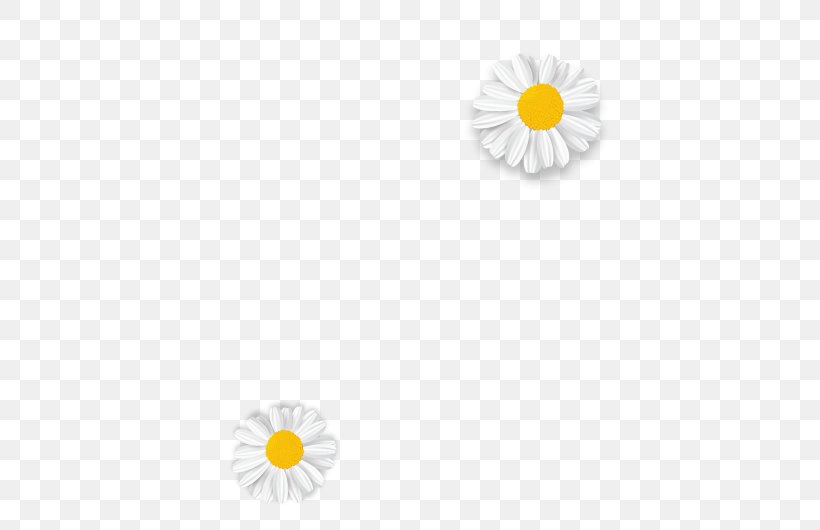 Material Body Jewellery Line Font, PNG, 564x530px, Material, Body Jewellery, Body Jewelry, Daisy, Flower Download Free