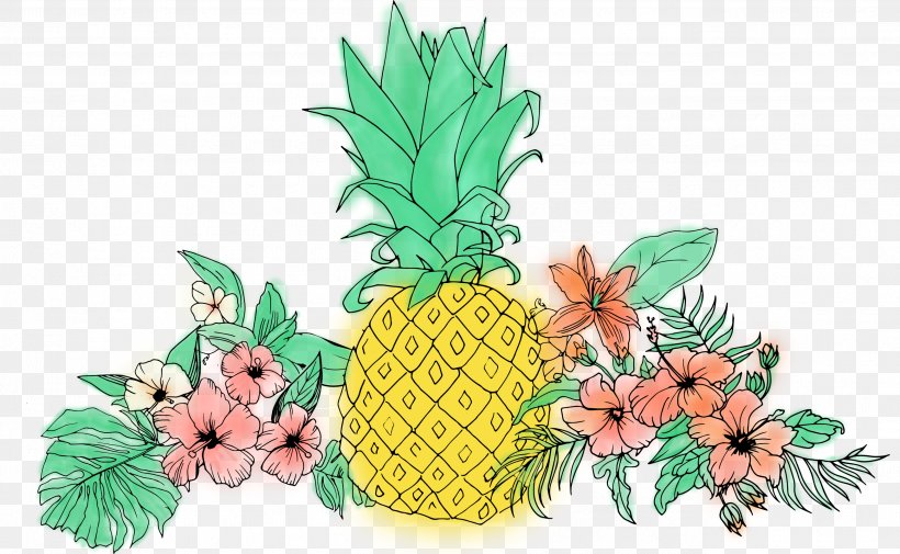Pineapple Fruit Flower Clip Art, PNG, 2599x1601px, Pineapple, Ananas, Autocad Dxf, Bromeliaceae, Bromeliads Download Free