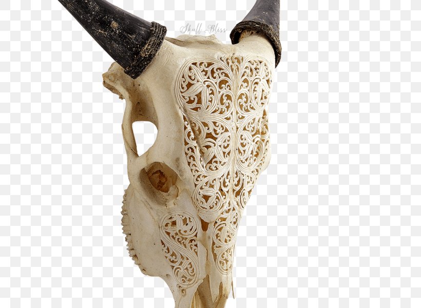 Cattle Skull Horn Elephantidae Bone, PNG, 600x600px, Cattle, Animal, Artifact, Barbed Wire, Bone Download Free