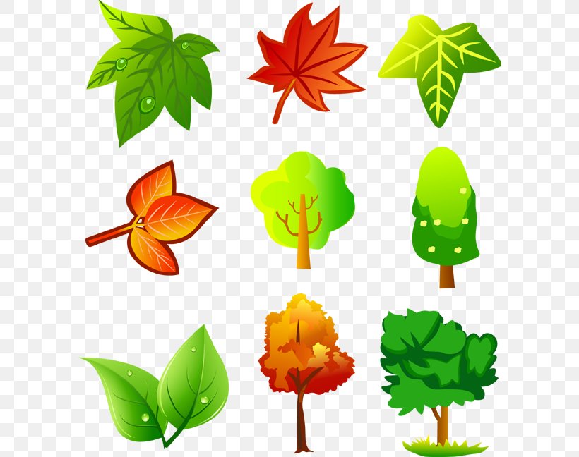 Leaf Green Clip Art, PNG, 600x648px, Leaf, Artwork, Flora, Flower, Flowering Plant Download Free