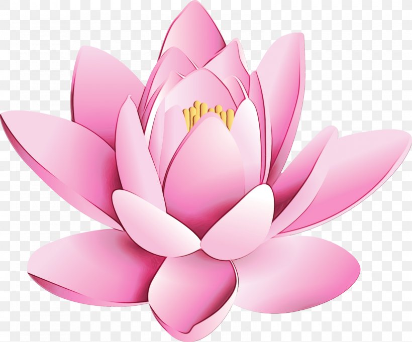 Lotus, PNG, 1600x1329px, Watercolor, Aquatic Plant, Flower, Lotus, Lotus Family Download Free