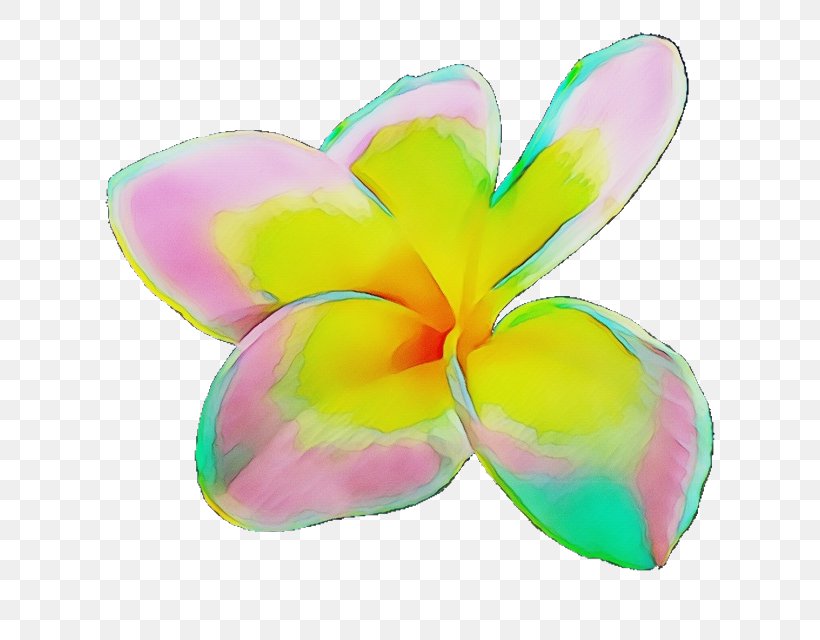 Watercolor Pink Flowers, PNG, 640x640px, Watercolor, Cut Flowers, Flower, Frangipani, Paint Download Free