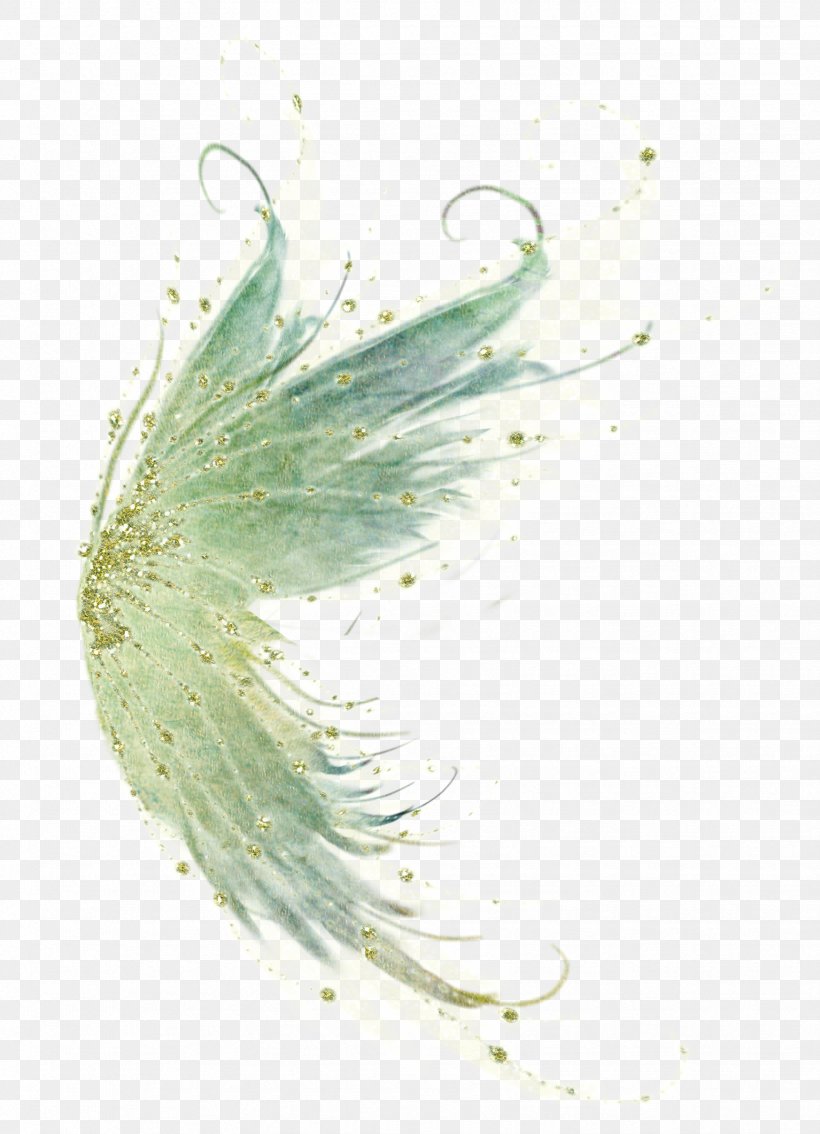Bird Fairy Wing Clip Art, PNG, 1746x2415px, Bird, Close Up, Computer Software, Fairy, Feather Download Free
