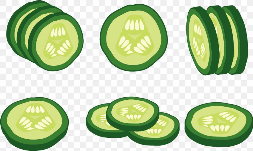 Cucumber Euclidean Vector Vegetable, PNG, 992x592px, Cucumber, Drawing, Food, Green, Pepino Download Free