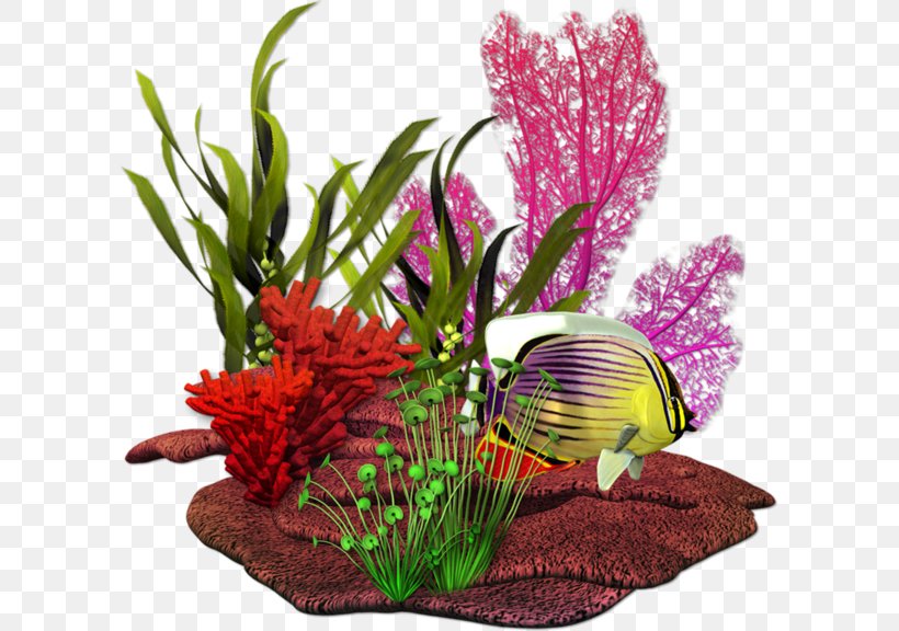 Fish Coral Clip Art, PNG, 600x576px, Fish, Aquarium, Aquarium Decor, Coral, Cut Flowers Download Free
