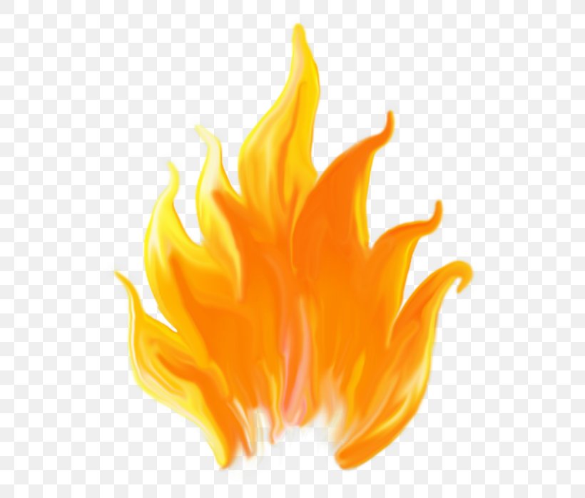 Fire Flame, PNG, 609x699px, Fire, Blog, Closeup, Coloring Book, Combustion Download Free